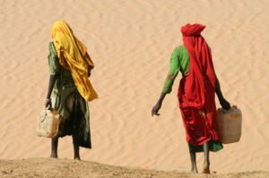 Exposición: "Voces entre dos orillas: historias de mujeres africanas emprendedoras"
