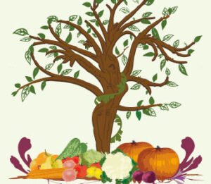 II Jornadas de Agroecología: Ecofeminismo, poniendo la vida en el centro