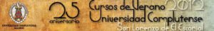 Curso: Profesionales que participan en la lucha contra la violencia de género