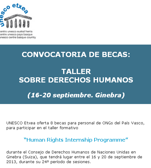 Becas personal ONGs País Vasco