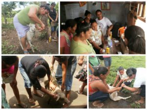 Fortalecimiento de las capacidades técnicas-productivas de mujeres rurales