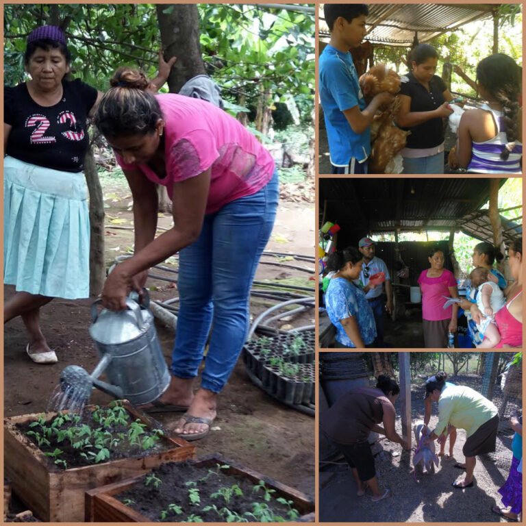 Las mujeres productoras de las comunidades rurales de El Viejo están produciendo rubros que diversifican sus parcelas y patios