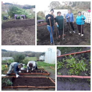 Fundación Mujeres continúa con las huertas urbanas gestionadas por las cuidadanas.