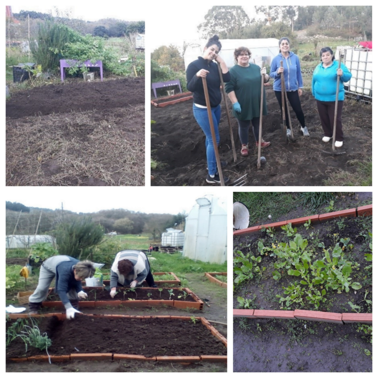 Fundación Mujeres continúa con las huertas urbanas gestionadas por las cuidadanas.