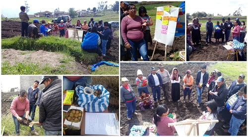 Continúan las capacitaciones con las productoras y productores de Quisapincha (Ecuador)