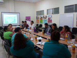 Presentación del Mapa de riesgo y violencia contra las mujeres en Santa Cruz Michapa (El Salvador)