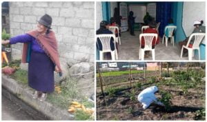 Asistencias técnicas con asociacións agrícolas de Ecuador durante a crise sanitaria Covid-19