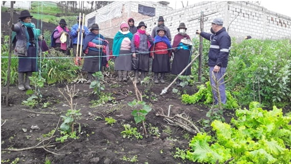 Fortaleciendo las capacidades de producción, transformación y comercialización de las agricultoras de Quisapincha (Ecuador)