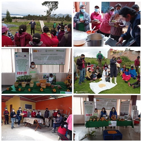 As agricultoras de Quisapincha (Ecuador) participan en diferentes xornadas produtivas e de formación