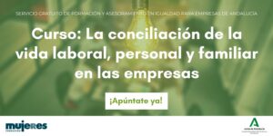 Curso "Conciliación de la vida laboral, familiar y personal en las empresas"