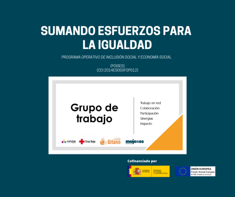 Tercera reunión del grupo de trabajo del proyecto Sumando Esfuerzos para la Igualdad