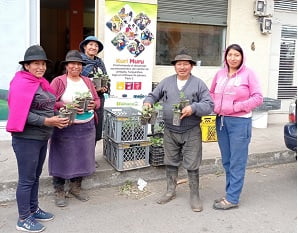 Productoras de la Corporación Pushak Kawsay se forman y reciben plántulas de Uvilla para la siembra y producción en la sierra ecuatoriana