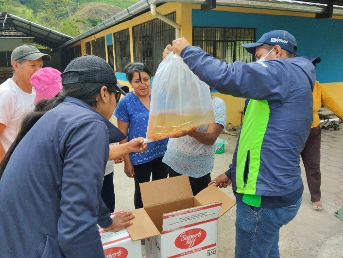 Entrega de alevines a 33 familias participantes del proyecto que Fundación Mujeres implementa en el cantón Yacuambi