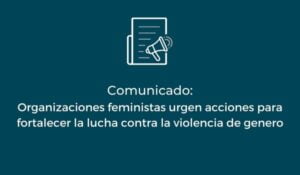 Organizaciones feministas urgen a tomar acciones para fortalecer la lucha contra la violencia de genero