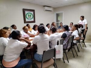 Implementación talleres en Derechos Laborales e Igualdad de Género con trabajadoras del hogar en República Dominicana