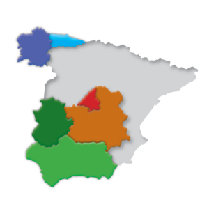 Delegaciones de Fundación Mujeres en 2026