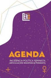 Agenda de Incidencia Política Feminista