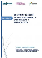 Boletín Nº12 sobre Violencia de Género y Salud Sexual y Reproductiva (2017)